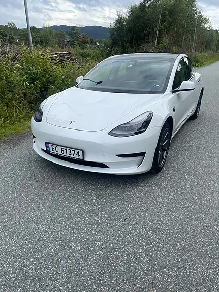 Tesla Model 3 2021 photo 2