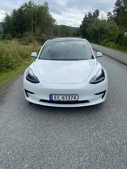 Tesla Model 3 2021 photo 3