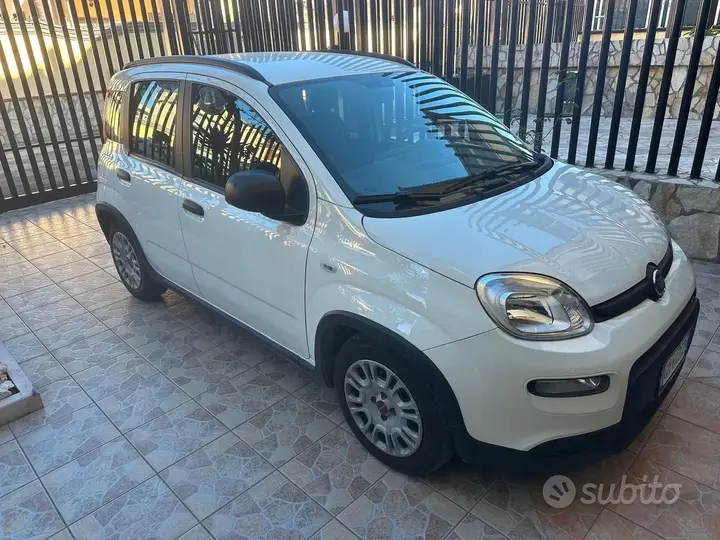 Fiat Panda 2023 photo 3