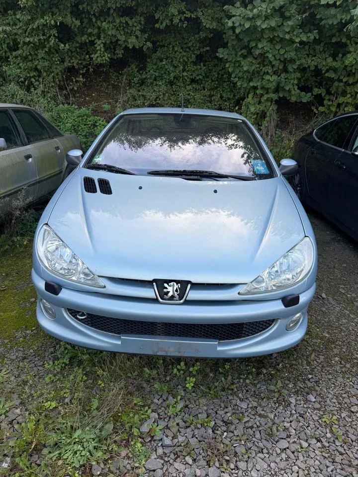 Peugeot 206 Cc