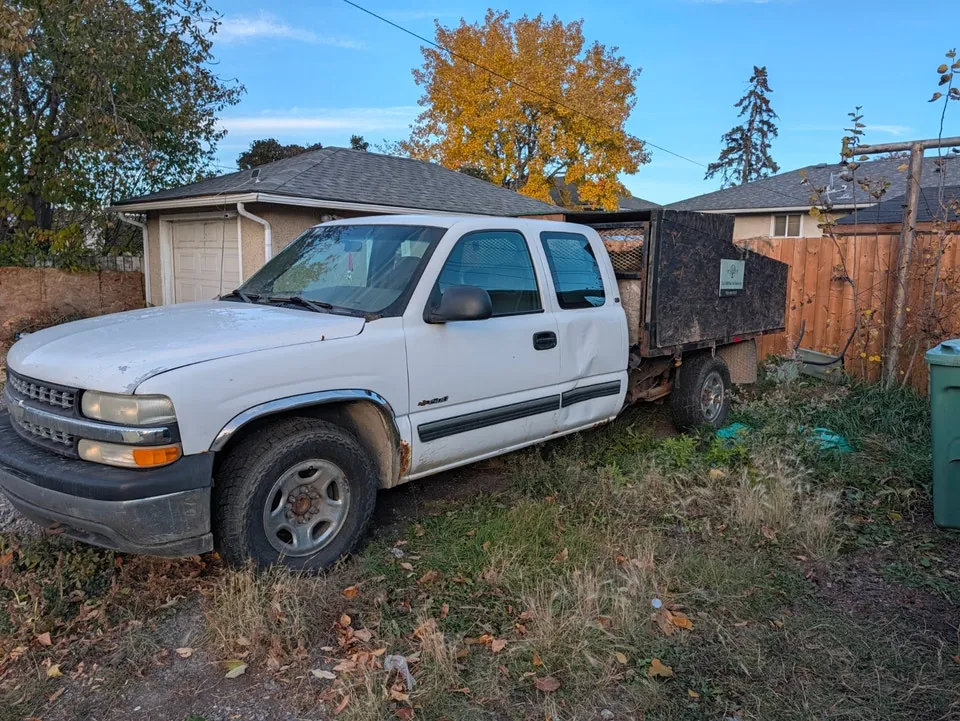 Chevrolet Silverado 1500 2001 photo 3
