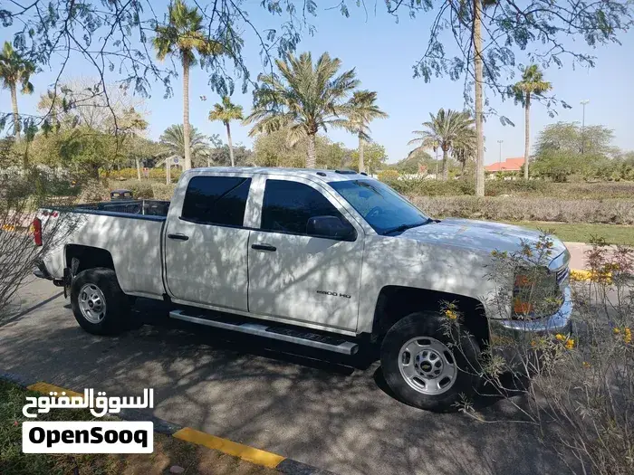Chevrolet Silverado 2019 photo 3