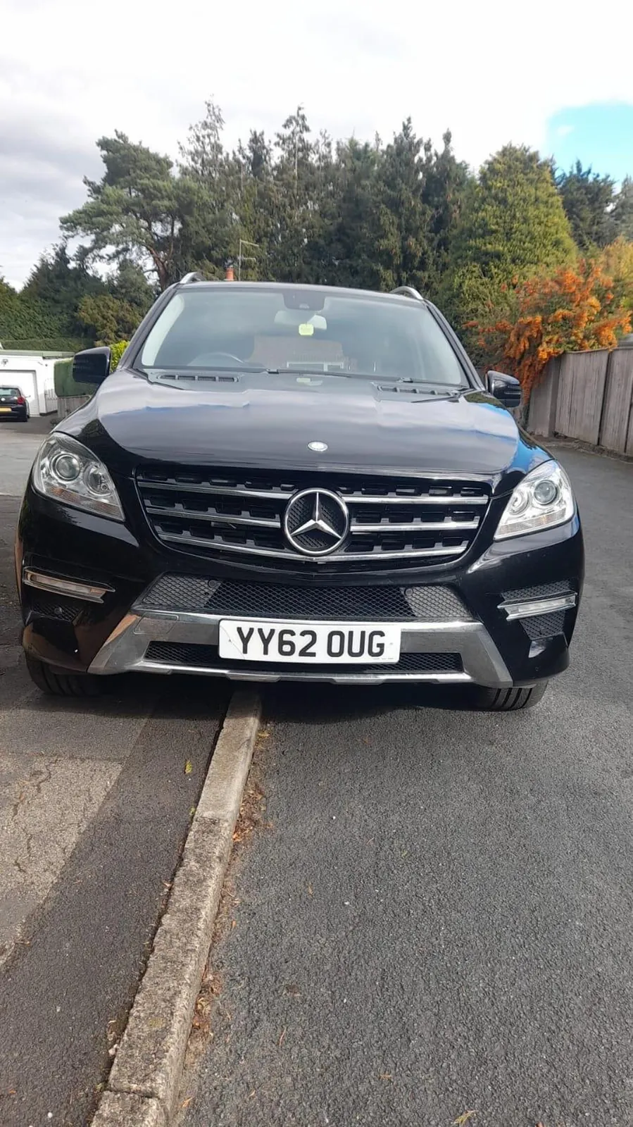 Mercedes-Benz M-Class 2012 photo 4
