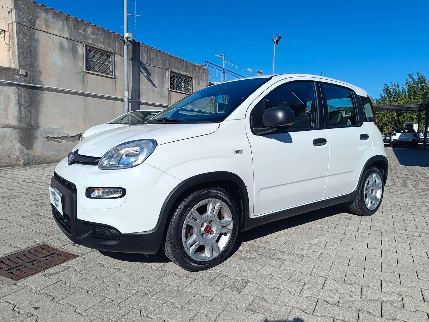 Fiat Panda 2024 photo 3