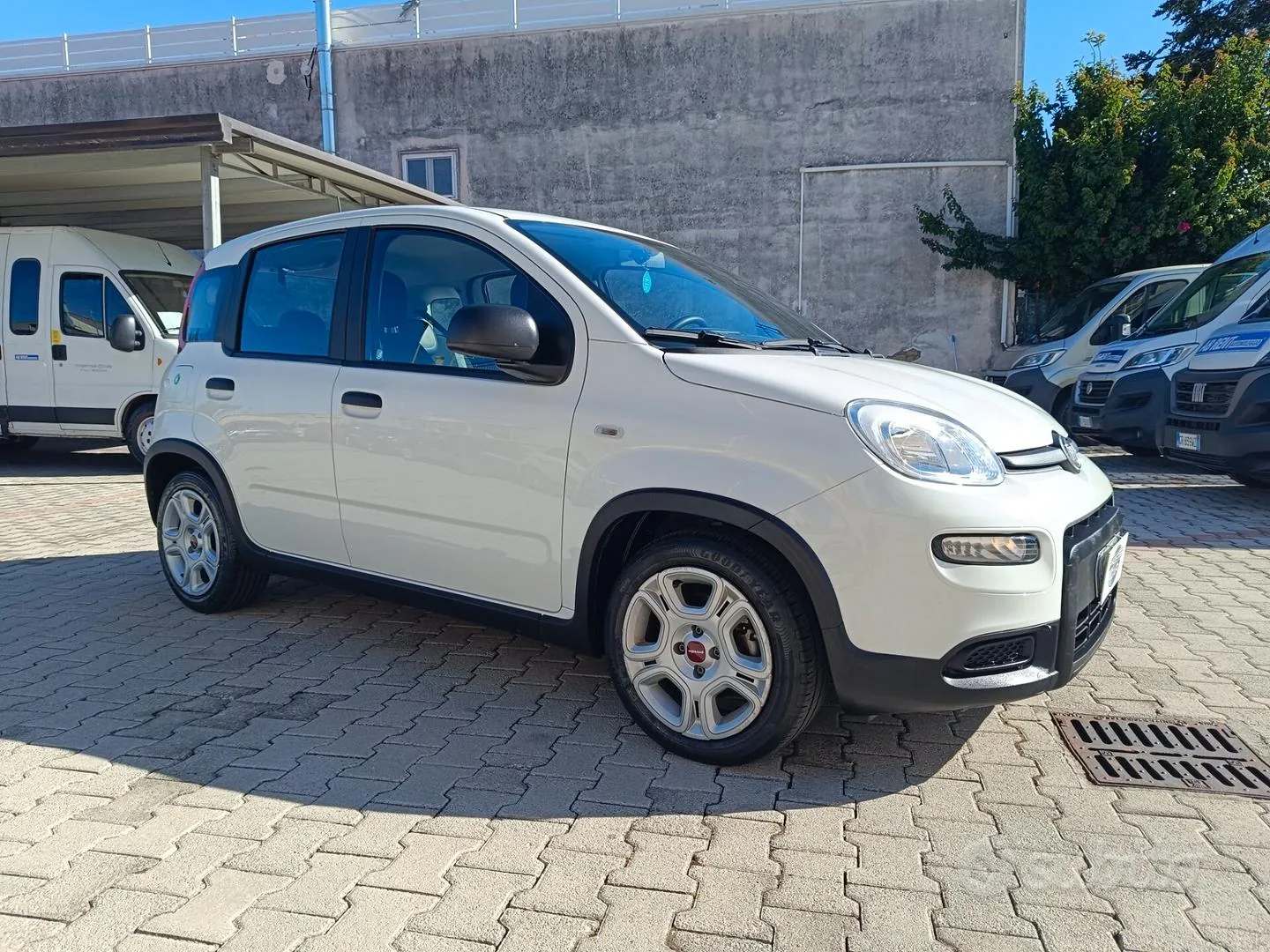 Fiat Panda 2024 photo 2