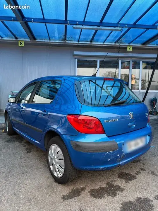 Peugeot 307 2006 photo 4