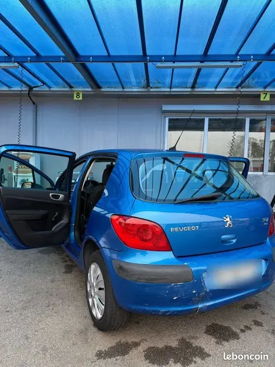 Peugeot 307 2006 photo 5