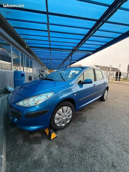Peugeot 307 2006 photo 2