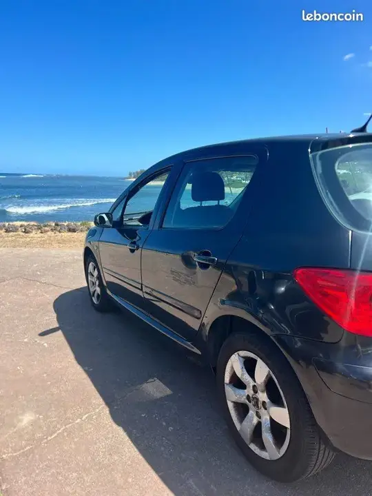 Peugeot 307 2006 photo 3