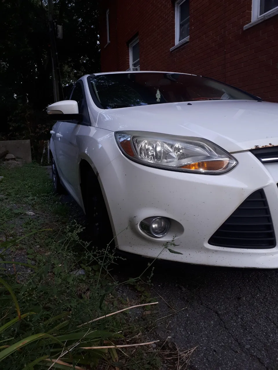 Ford Focus 2014 photo 3
