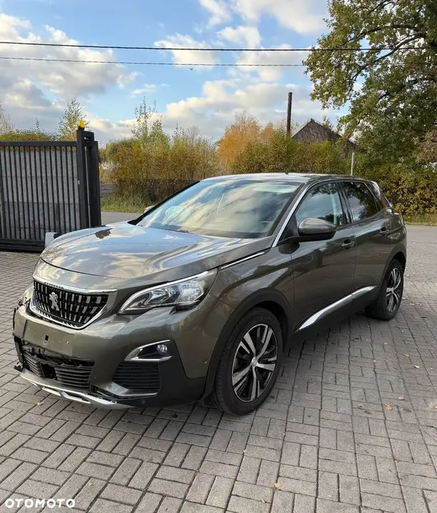 Peugeot 3008 2019 photo 2