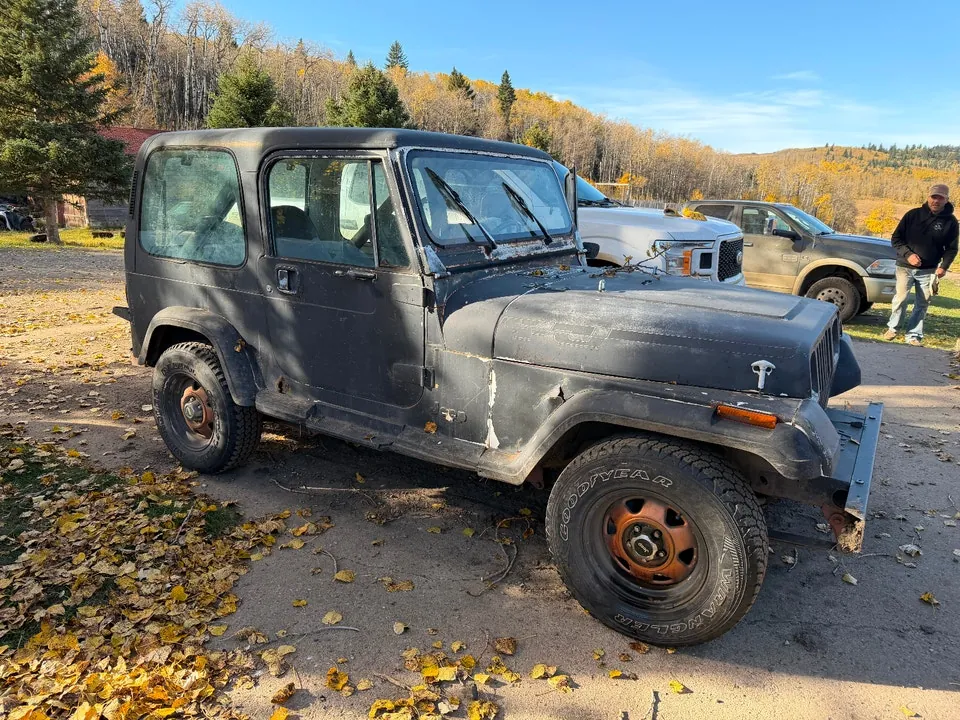 Jeep Cj 1985 photo 4