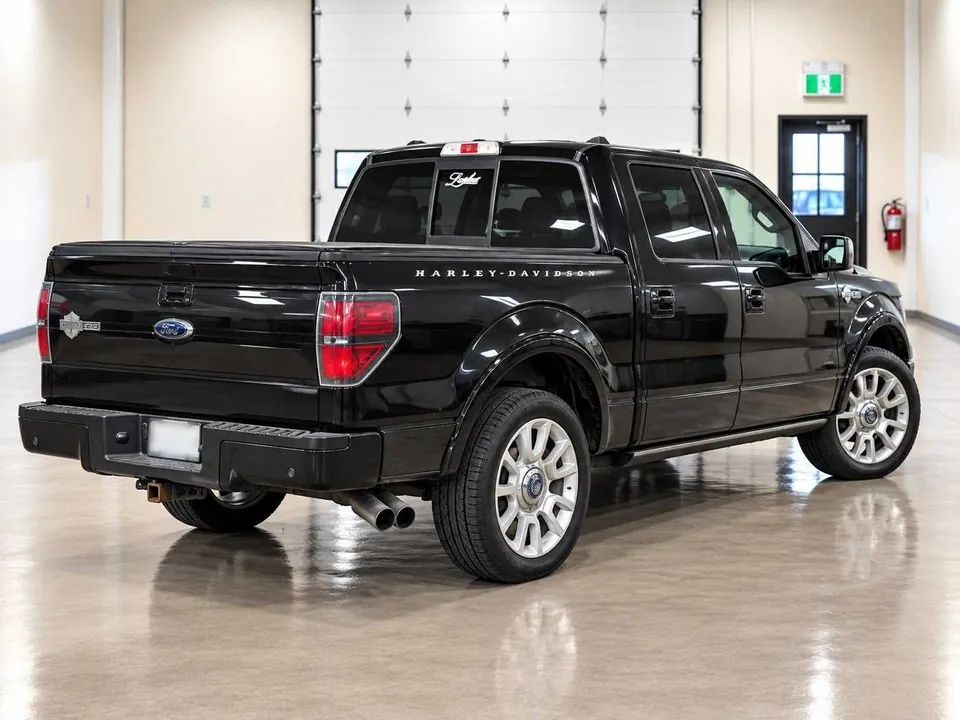 Ford F-150 2010 photo 3