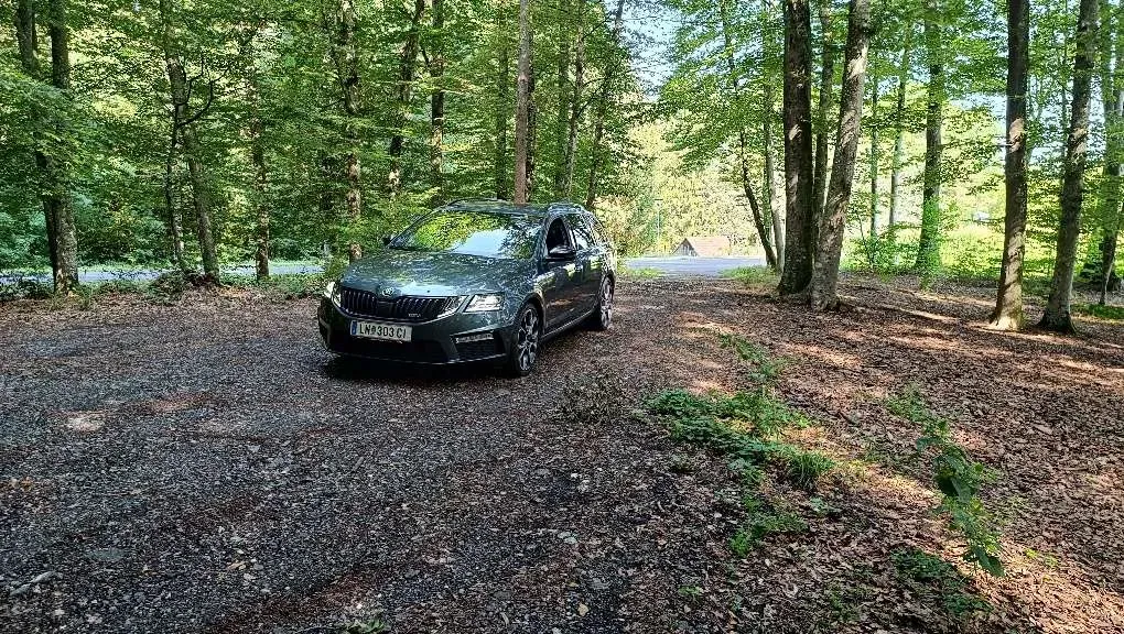 Skoda Octavia 2017 photo 2