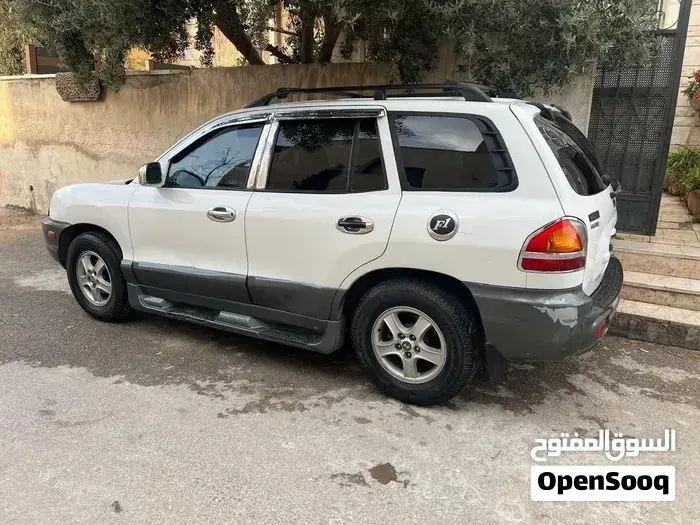 Hyundai Santa Fe 2002 photo 2