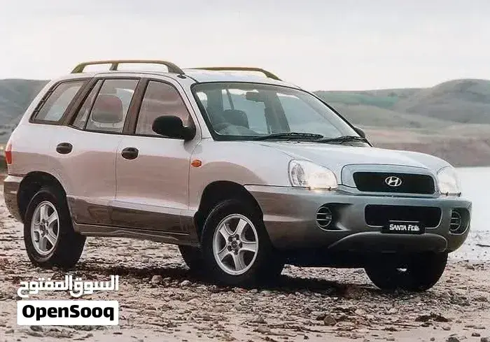 Hyundai Santa Fe 2002 photo 5