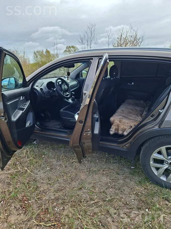 Kia Sportage 2015 photo 3