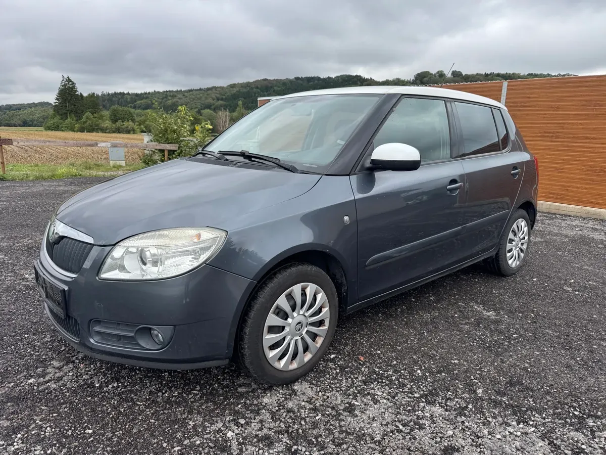 Skoda Fabia 2008 photo 2