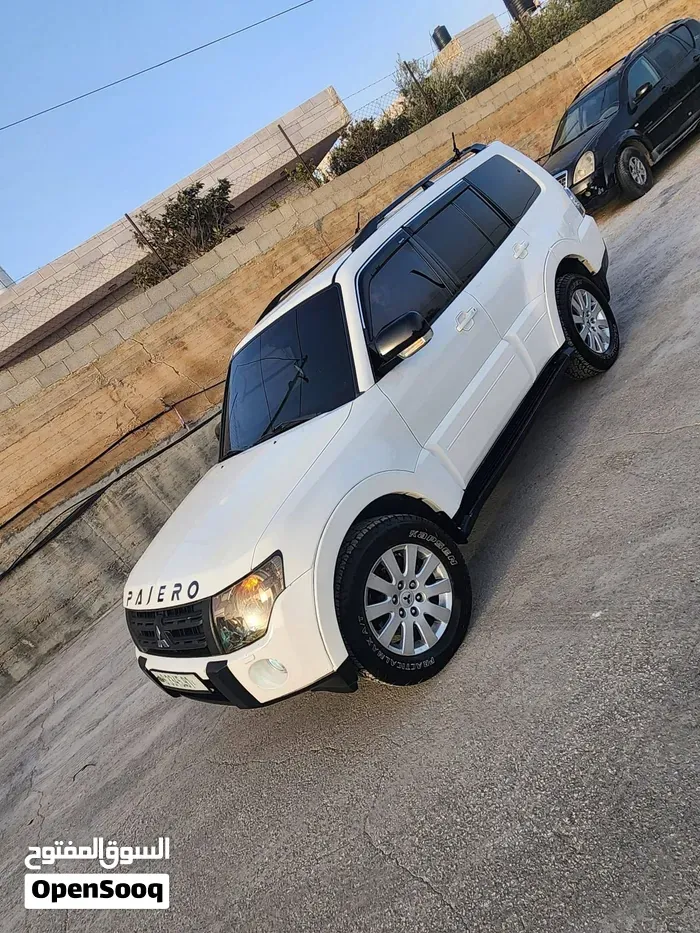 Mitsubishi Pajero 2008 photo 2
