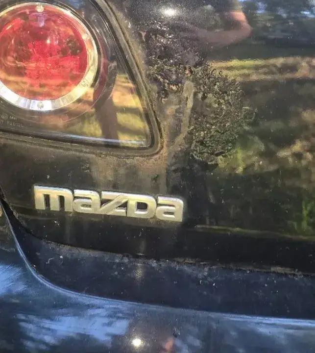 Mazda Mazda3 2006 photo 3