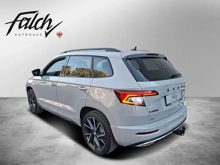 Skoda Karoq 2021 photo 3
