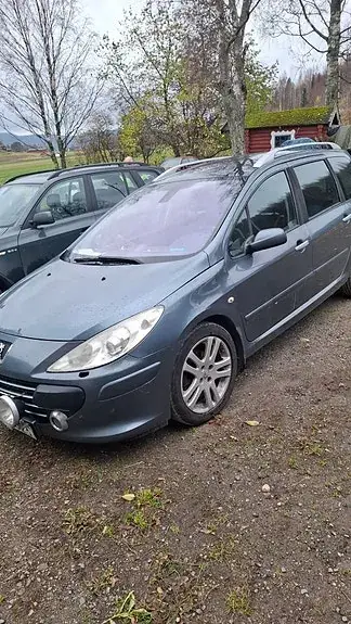 Peugeot 307 Sw 2007 photo 3