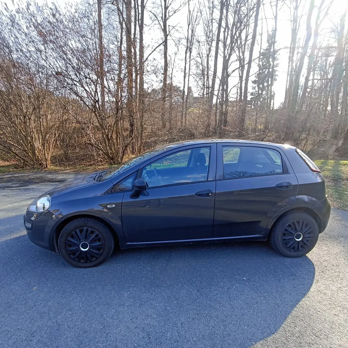 Fiat Punto 2011 photo 2