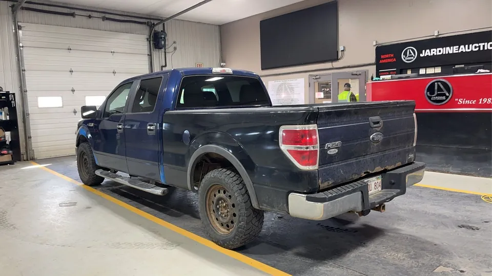 Ford F-150 2010 photo 3