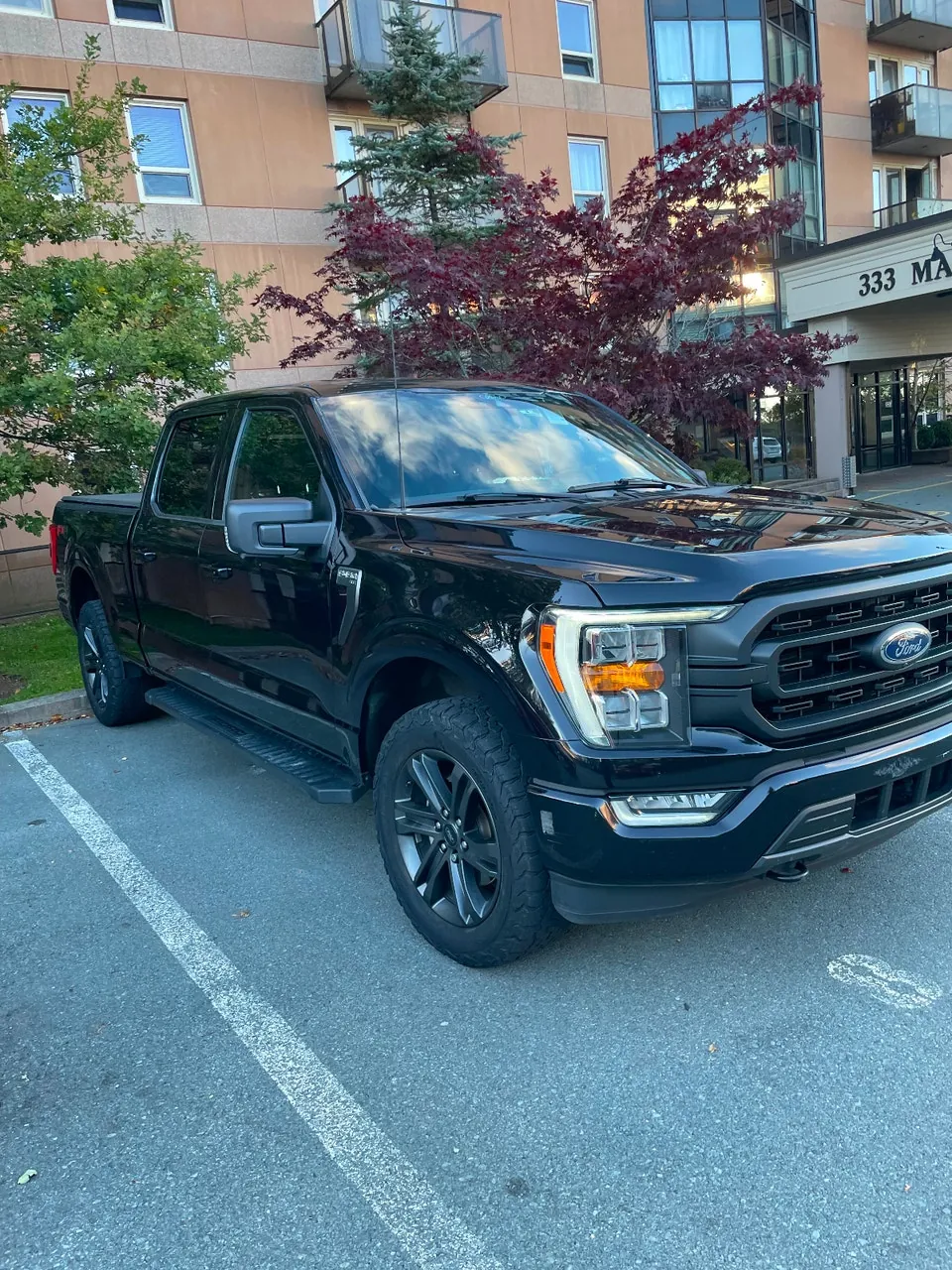 Ford F-150 2023 photo 4