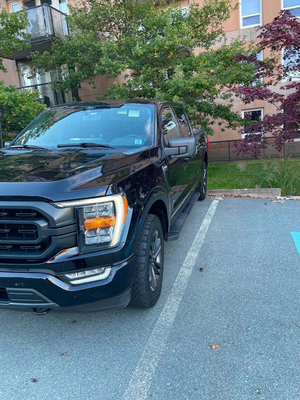 Ford F-150 2023 photo 2