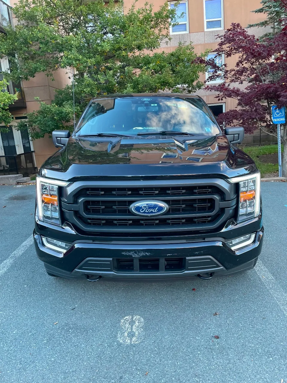 Ford F-150 2023 photo 3