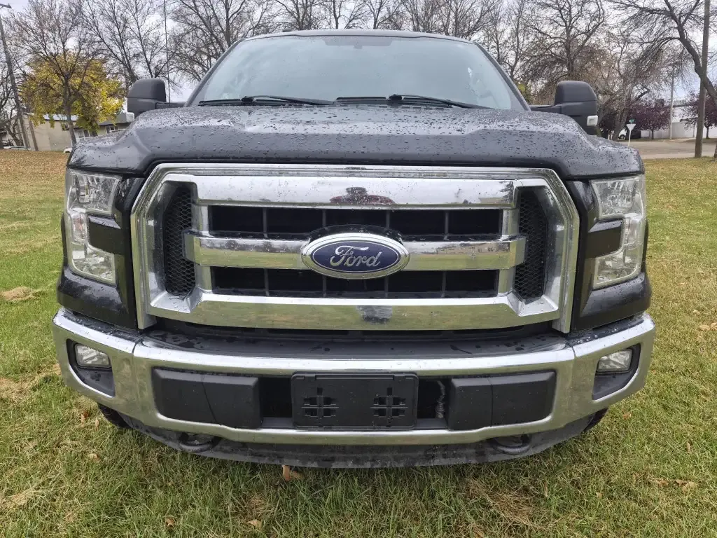 Ford F-150 2016 photo 2
