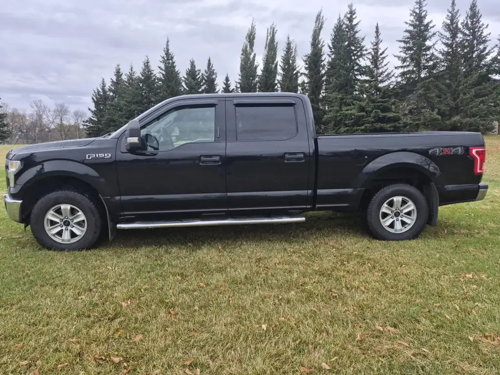 Ford F-150 2016 photo 3