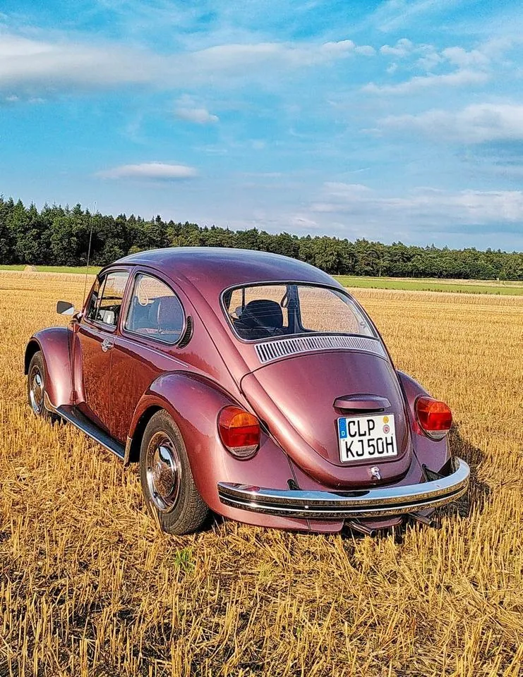 Volkswagen Käfer