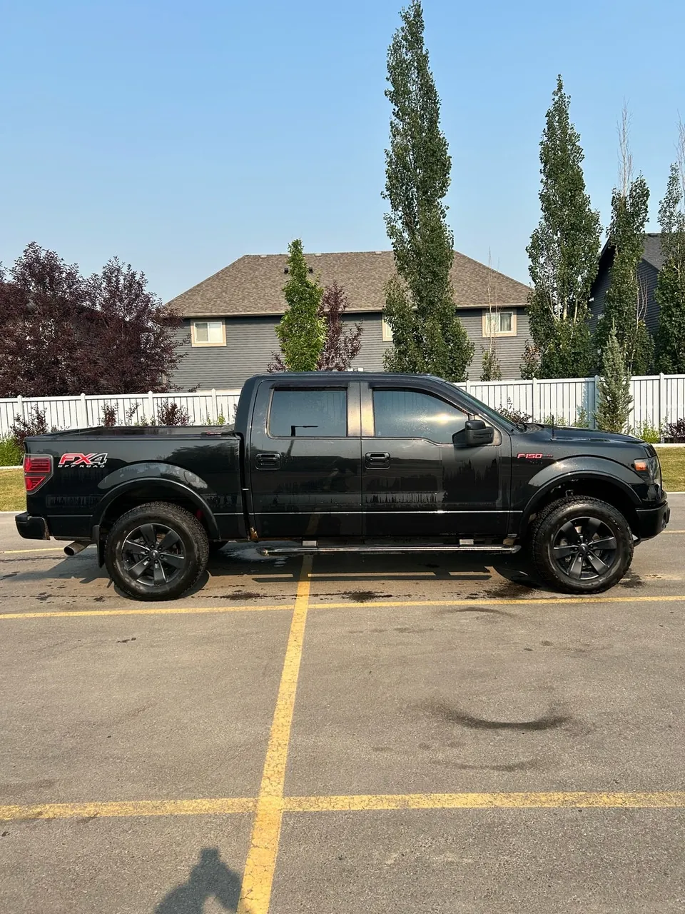 Ford F-150 2013 photo 3