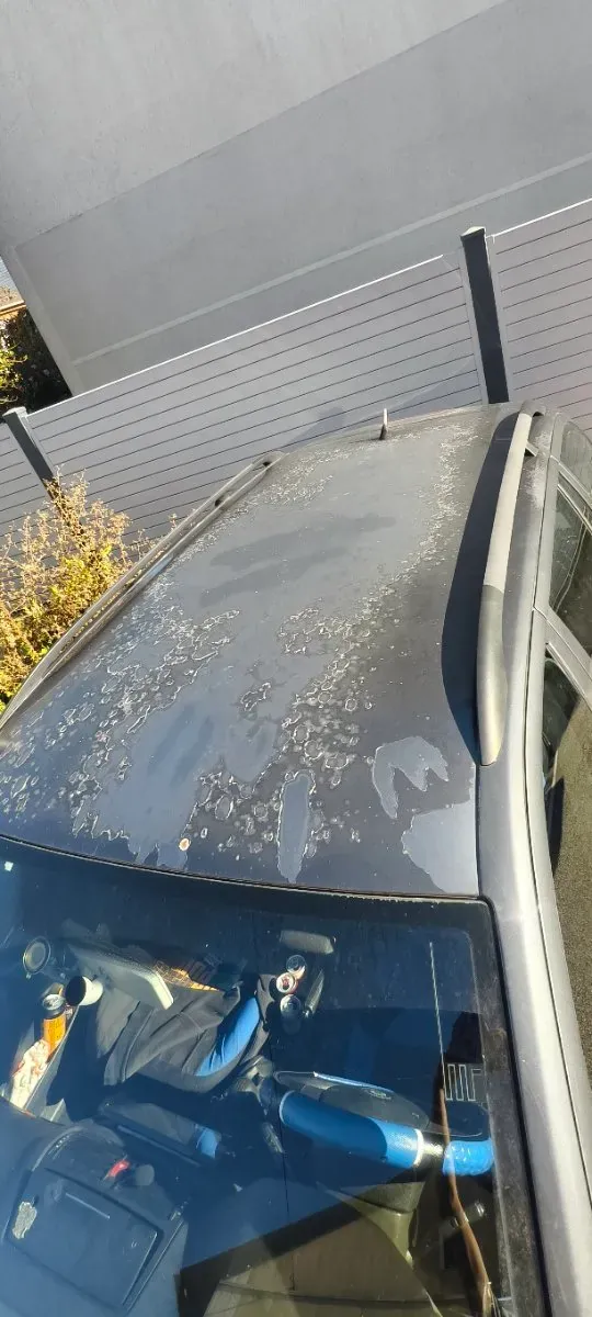 Skoda Octavia 2008 photo 3