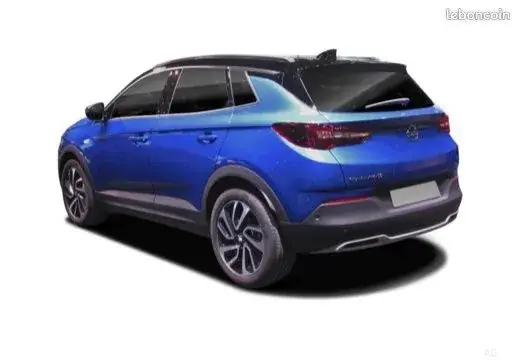 Opel Grandland X 2020 photo 2