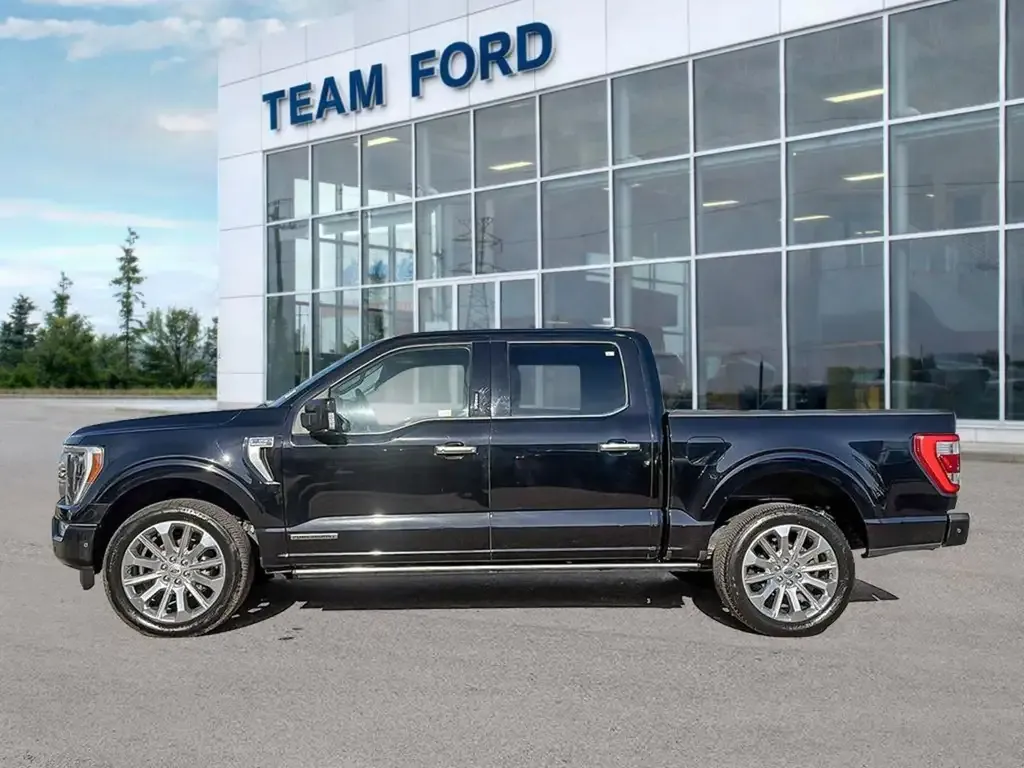 Ford F-150 2022 photo 3