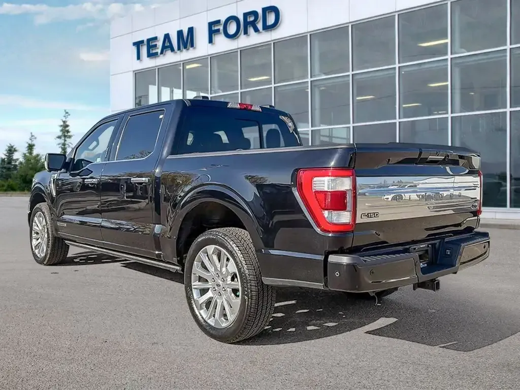 Ford F-150 2022 photo 4