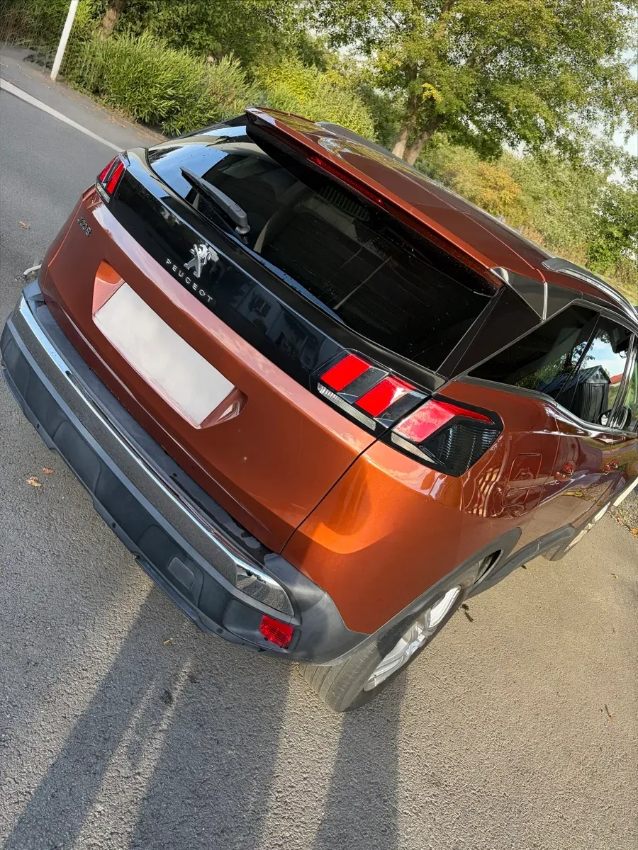Peugeot 3008 2019 photo 3