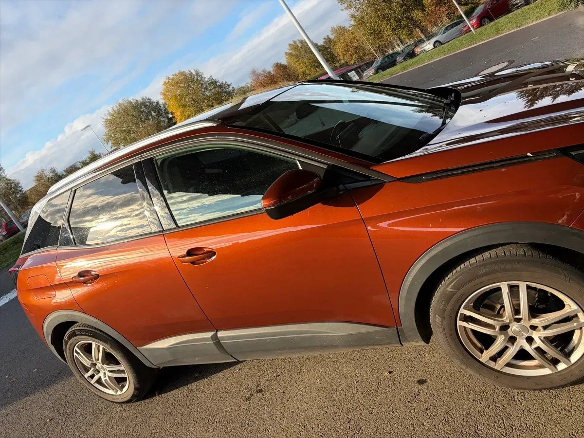 Peugeot 3008 2019 photo 2