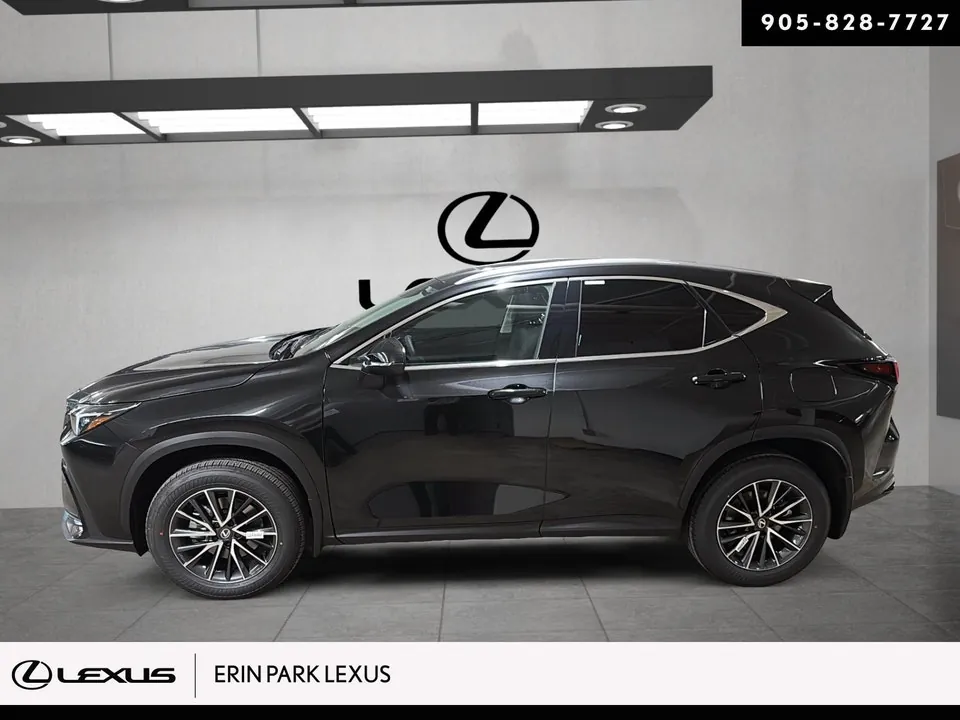Lexus Nx 350 2026 photo 5