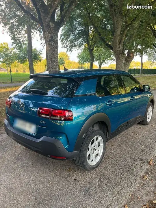 Citroen C4 Cactus 2019 photo 2