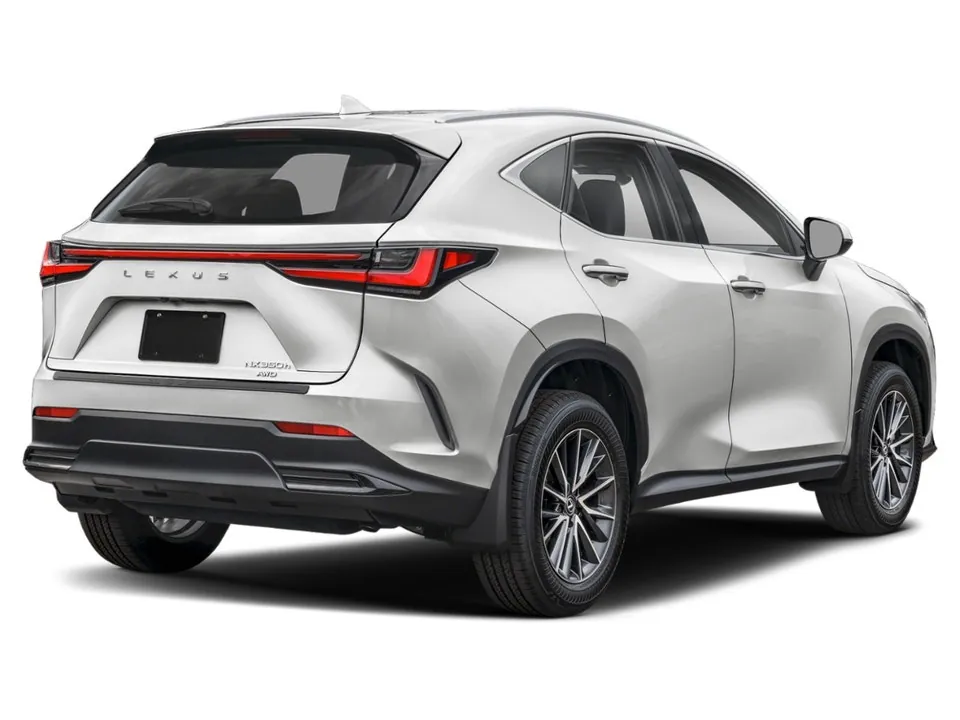 Lexus Nx 2024 photo 2
