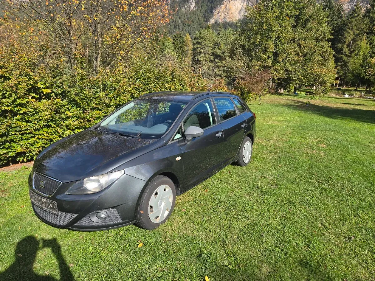 Seat Ibiza 2011 photo 3