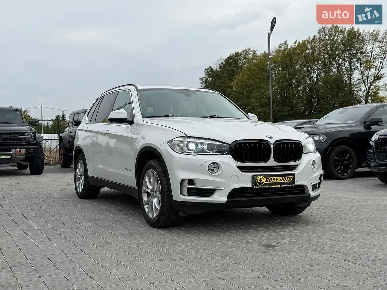 BMW X5