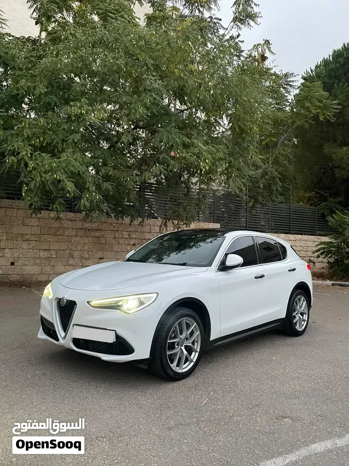 Alfa Romeo Stelvio 2019 photo 2