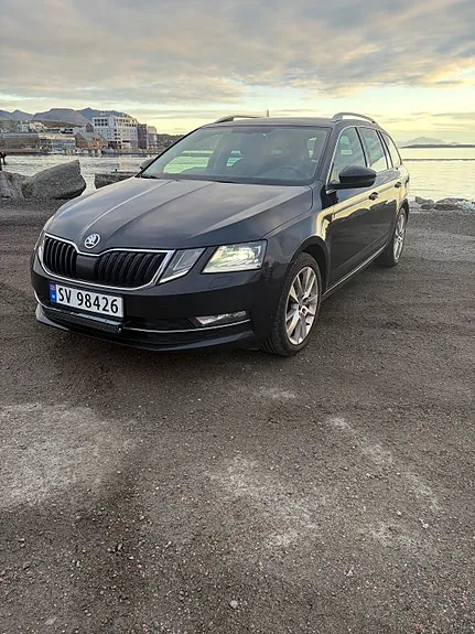 Skoda Octavia 2019 photo 2