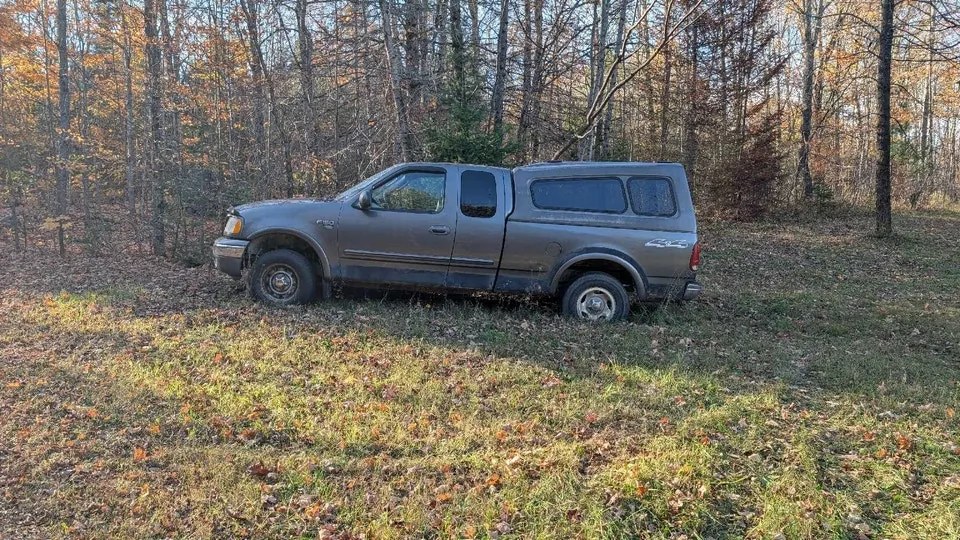 Ford F-150 2003 photo 2