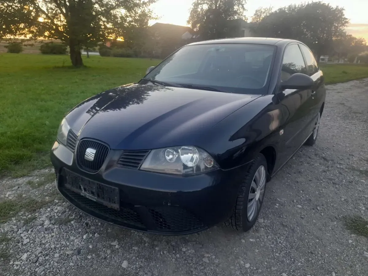 Seat Ibiza 2008 photo 2